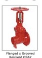 Flanged & Grooved Resilient OS&Y Gate Valve