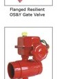 Deluge Alarm Valve