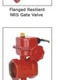 Grooved Wet Alarm Check Valve