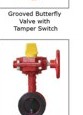 Flanged Resilient Swing Check Valve