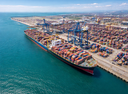 Port Development